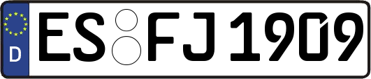 ES-FJ1909