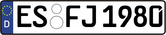ES-FJ1980