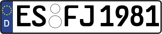 ES-FJ1981