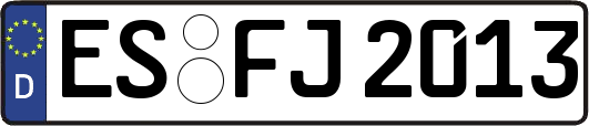 ES-FJ2013