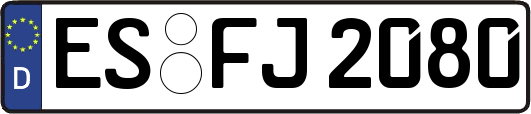 ES-FJ2080