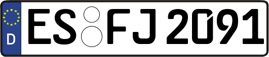 ES-FJ2091