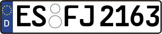 ES-FJ2163
