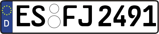 ES-FJ2491