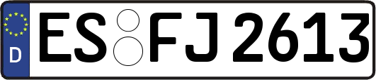 ES-FJ2613