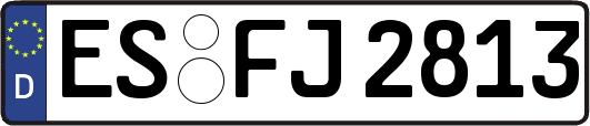 ES-FJ2813