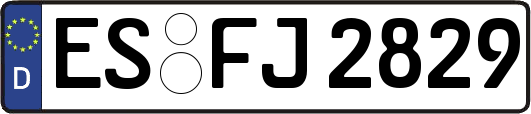 ES-FJ2829