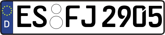 ES-FJ2905