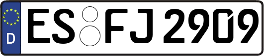 ES-FJ2909