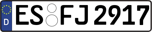 ES-FJ2917