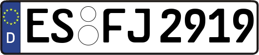 ES-FJ2919