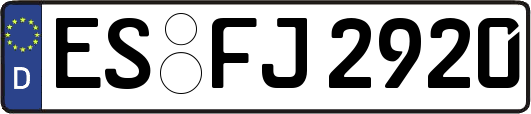 ES-FJ2920