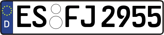 ES-FJ2955