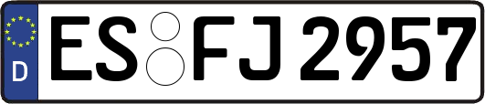 ES-FJ2957