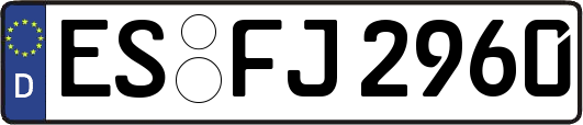 ES-FJ2960