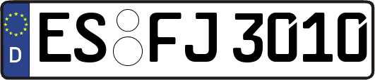 ES-FJ3010