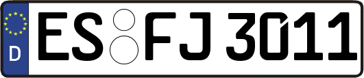 ES-FJ3011