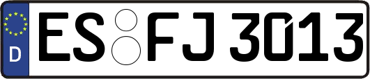 ES-FJ3013