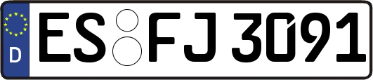 ES-FJ3091