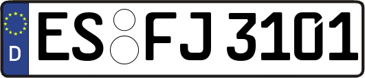 ES-FJ3101