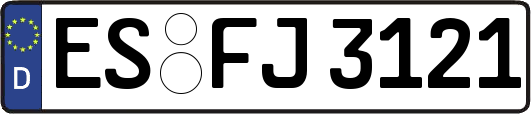 ES-FJ3121