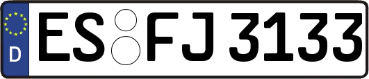 ES-FJ3133