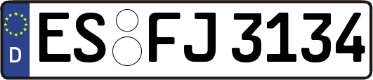 ES-FJ3134