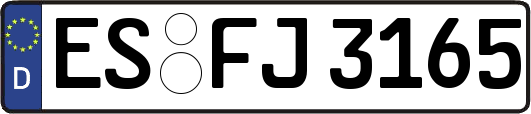 ES-FJ3165