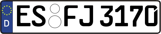 ES-FJ3170