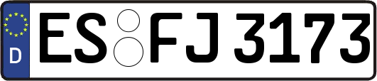 ES-FJ3173