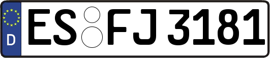 ES-FJ3181
