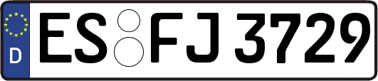 ES-FJ3729