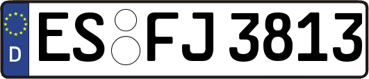 ES-FJ3813