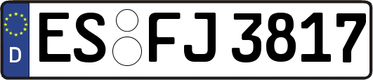 ES-FJ3817