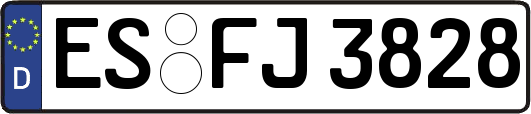 ES-FJ3828