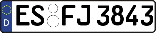 ES-FJ3843