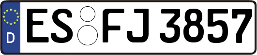 ES-FJ3857