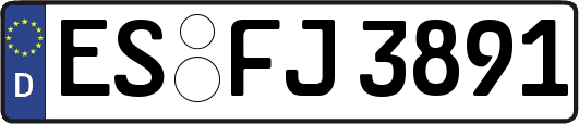 ES-FJ3891