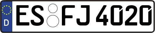 ES-FJ4020