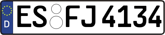 ES-FJ4134