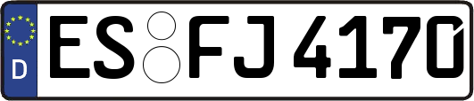 ES-FJ4170