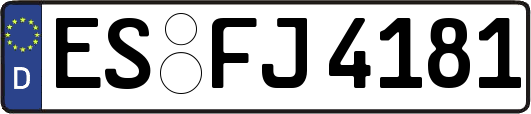 ES-FJ4181