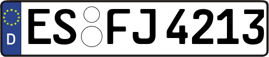 ES-FJ4213