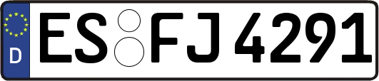 ES-FJ4291