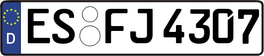 ES-FJ4307