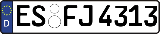 ES-FJ4313