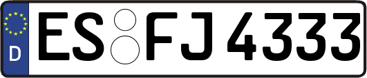 ES-FJ4333