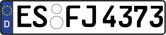 ES-FJ4373