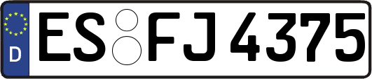 ES-FJ4375