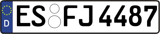 ES-FJ4487
